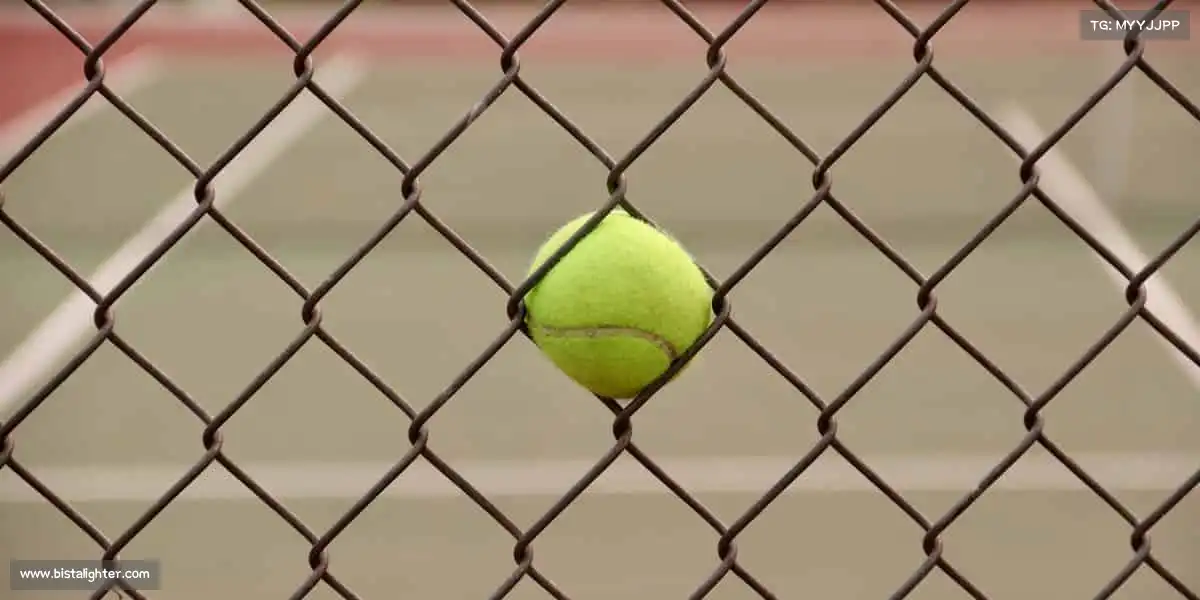 星空官网从这里出发,每一次挑战都是成长!✨